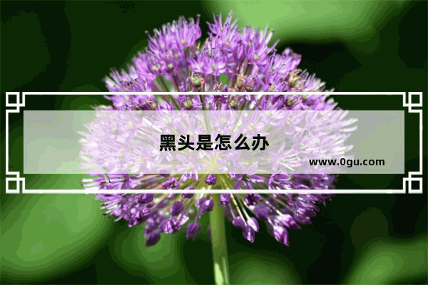 黑头是怎么办