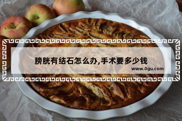 膀胱有结石怎么办,手术要多少钱