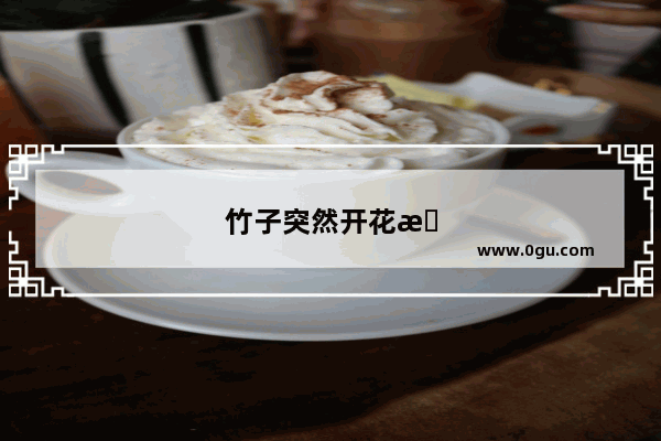 竹子突然开花怎么回事
