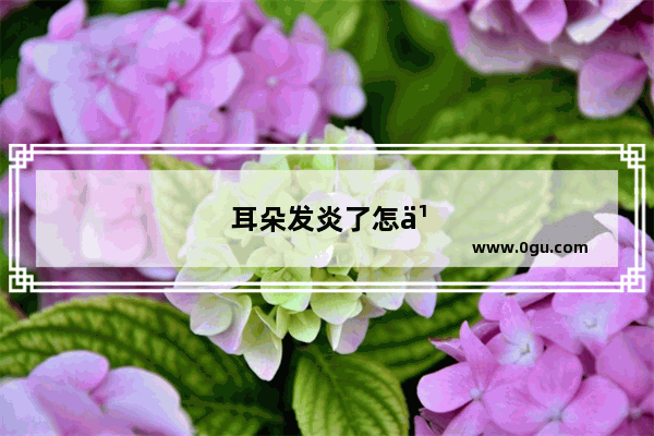 耳朵发炎了怎么治疗
