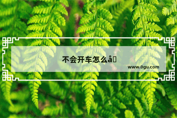 不会开车怎么卖菜