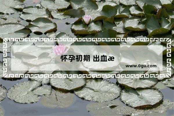 怀孕初期 出血怎么办 有什么办法可以止血