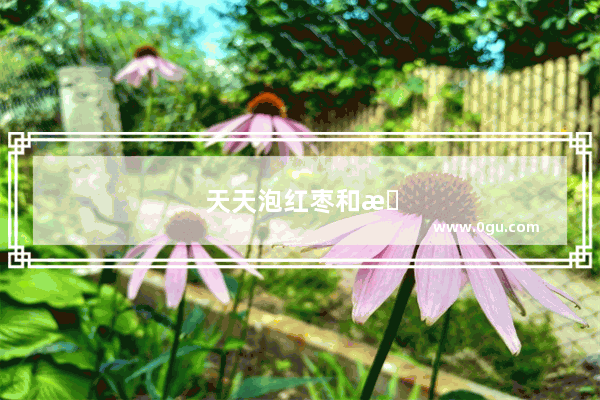 天天泡红枣和枸杞上火 有没有什么可以去火的。金银花？还有吗