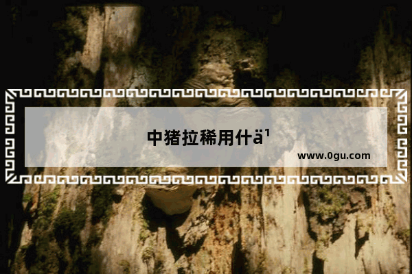 中猪拉稀用什么药好得快