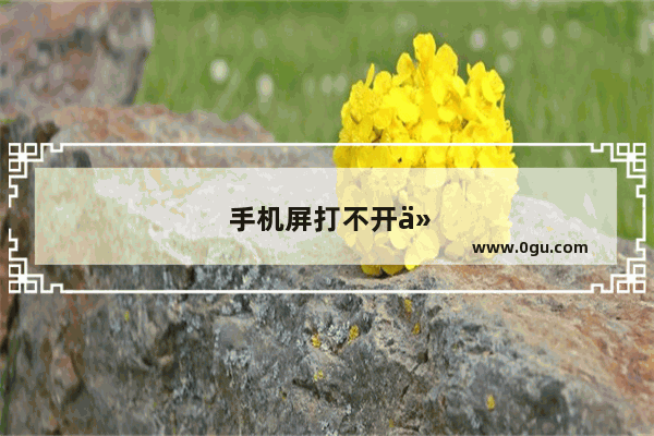 手机屏打不开什么原因
