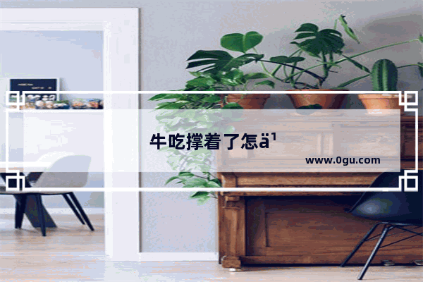 牛吃撑着了怎么办啊