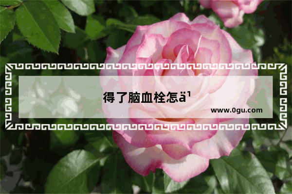 得了脑血栓怎么办