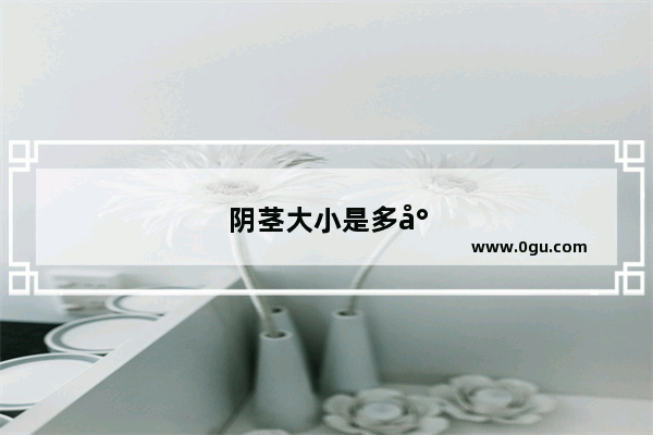 阴茎大小是多少