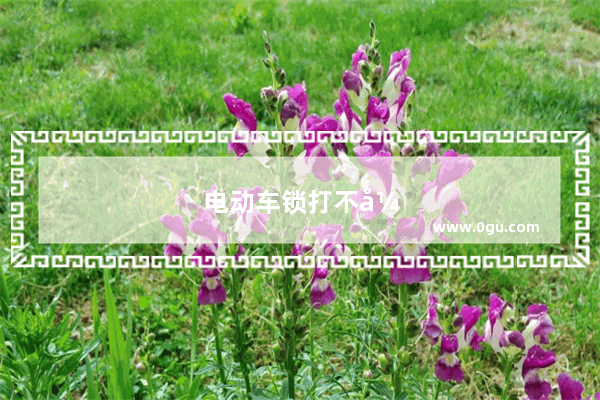电动车锁打不开怎么办是遥控的