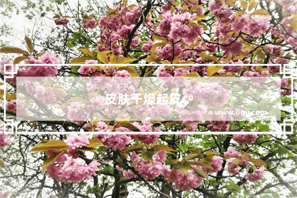 皮肤干燥起皮红肿怎么办
