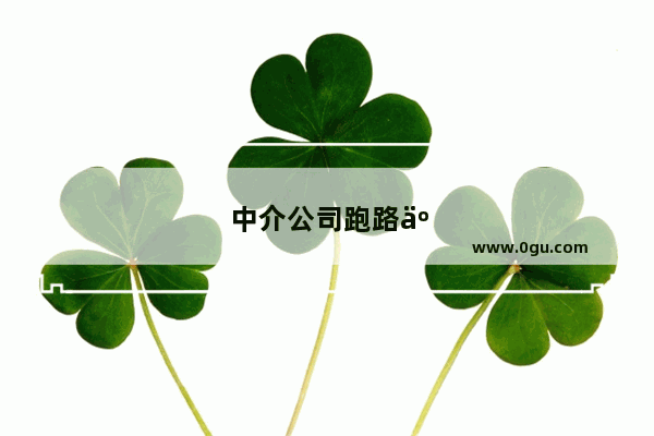 中介公司跑路了怎么办