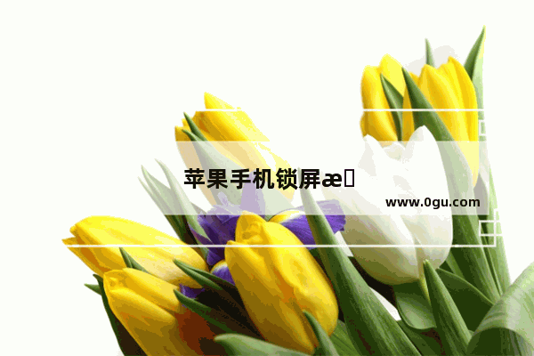 苹果手机锁屏怎么解除