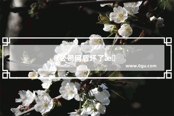 公司网盾坏了怎么办
