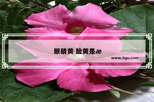 眼睛黄 脸黄是怎么回事