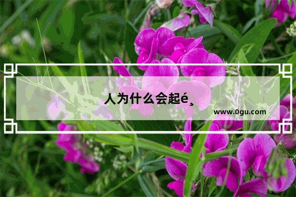 人为什么会起鸡皮疙瘩