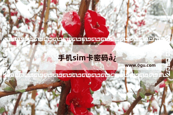 手机sim卡密码忘记了怎么解开