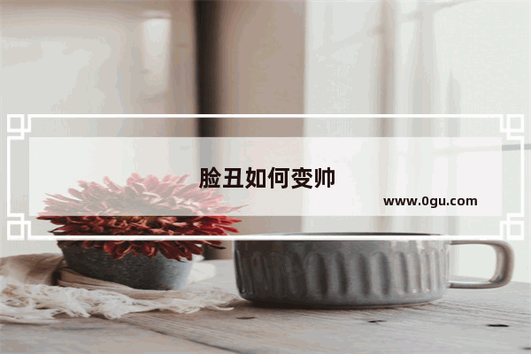 脸丑如何变帅