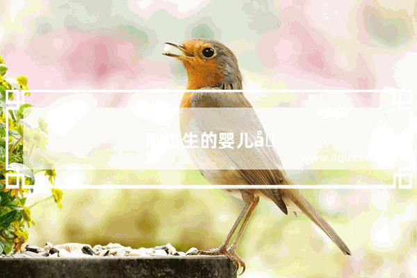 刚出生的婴儿吃完奶后会打嗝 该怎么办