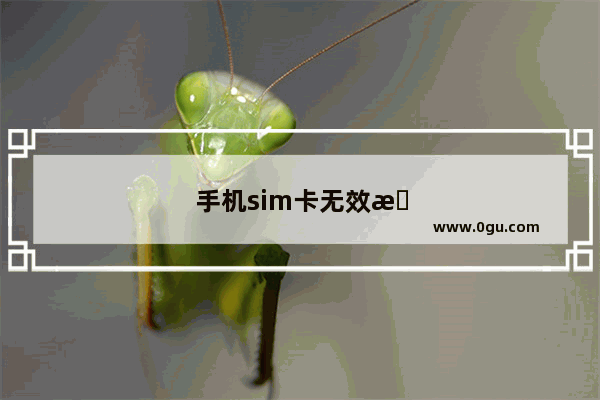 手机sim卡无效怎么办