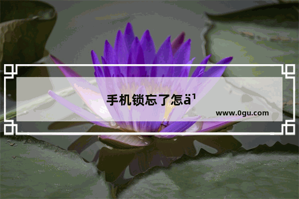 手机锁忘了怎么办解开