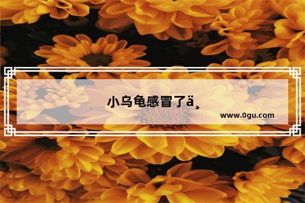 小乌龟感冒了不吃东西怎么办？可以在水里放感冒冲剂吗