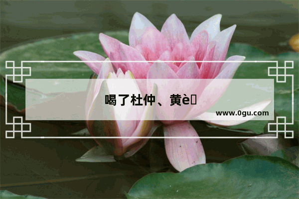 喝了杜仲、黄芪煮的水 感觉有点上火 该加些什么一起煮好呢