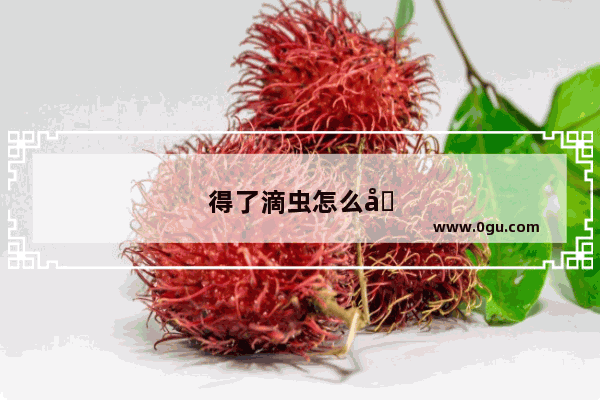 得了滴虫怎么办能治好吗