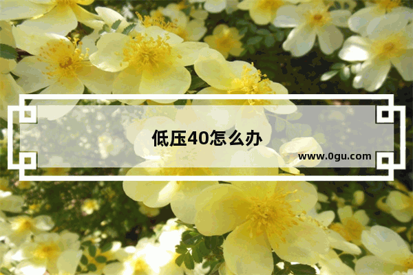 低压40怎么办