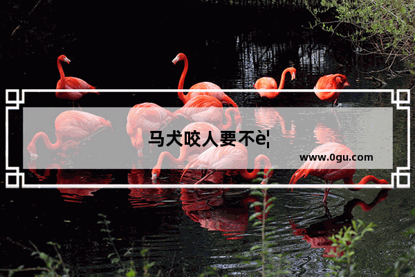 马犬咬人要不要打针啊