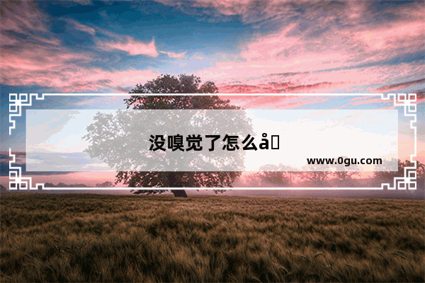 没嗅觉了怎么办?