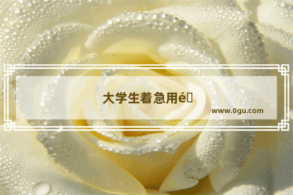 大学生着急用钱怎么办