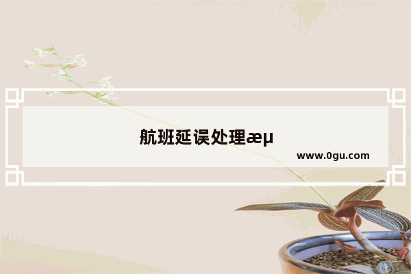 航班延误处理流程