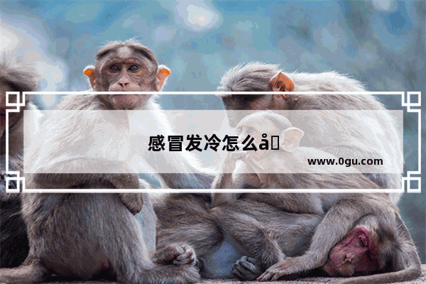 感冒发冷怎么办