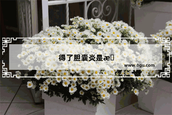 得了胆囊炎是怎样的体验