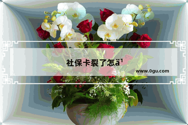社保卡裂了怎么补办