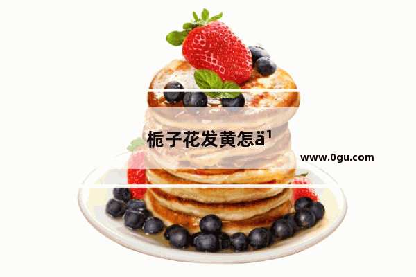 栀子花发黄怎么处理