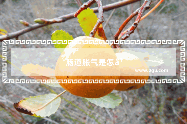 肠道胀气是怎么回事