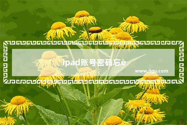 ipad账号密码忘记了怎样解锁