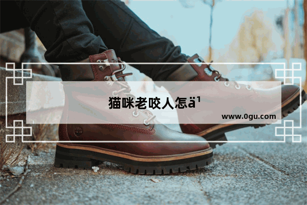 猫咪老咬人怎么办?