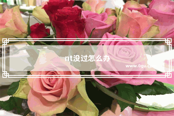 nt没过怎么办