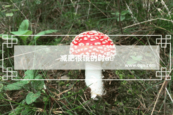 减肥很饿的时候怎么办