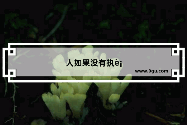 人如果没有执行力就真的什么都做不成吗