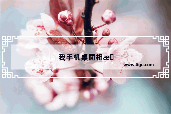我手机桌面相机没有了怎么办