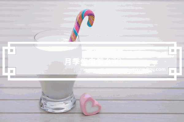 月季生虫怎么办 丝网