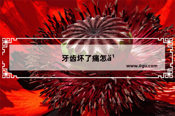 牙齿坏了痛怎么办怎么解决啊