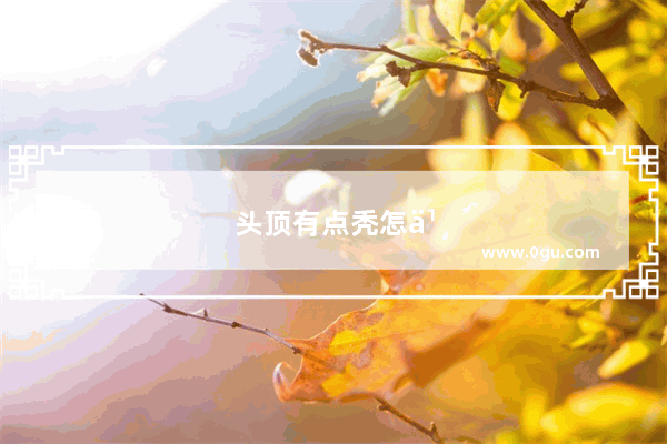 头顶有点秃怎么办女生
