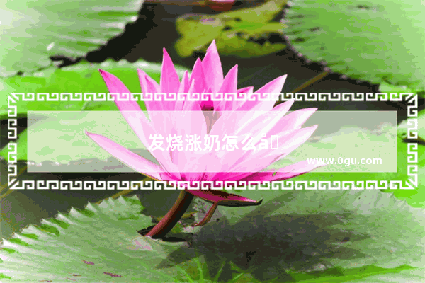 发烧涨奶怎么办啊