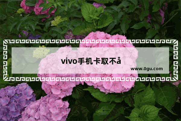vivo手机卡取不出来怎么办