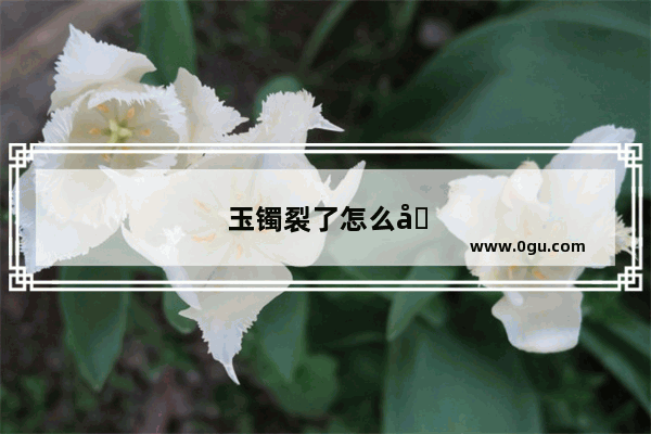 玉镯裂了怎么办可以修吗