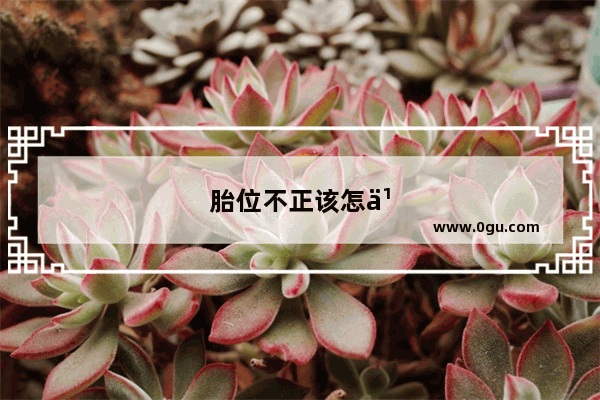 胎位不正该怎么调整胎